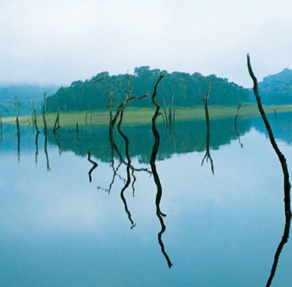 Thekkady